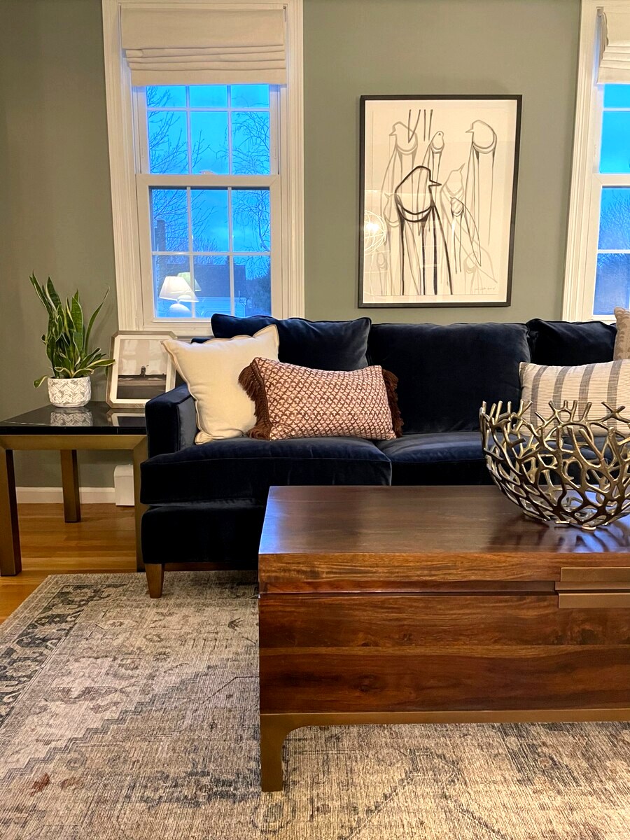 Living Room — Navy Velvet